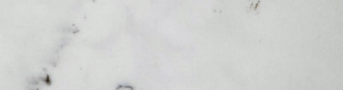 Камень 13005/3-Венато