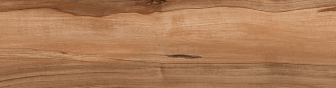 567 CR-Индийский Шишам 567 CR-Индийский Шишам