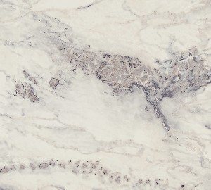 2384/S-Мрамор греческий-2гр